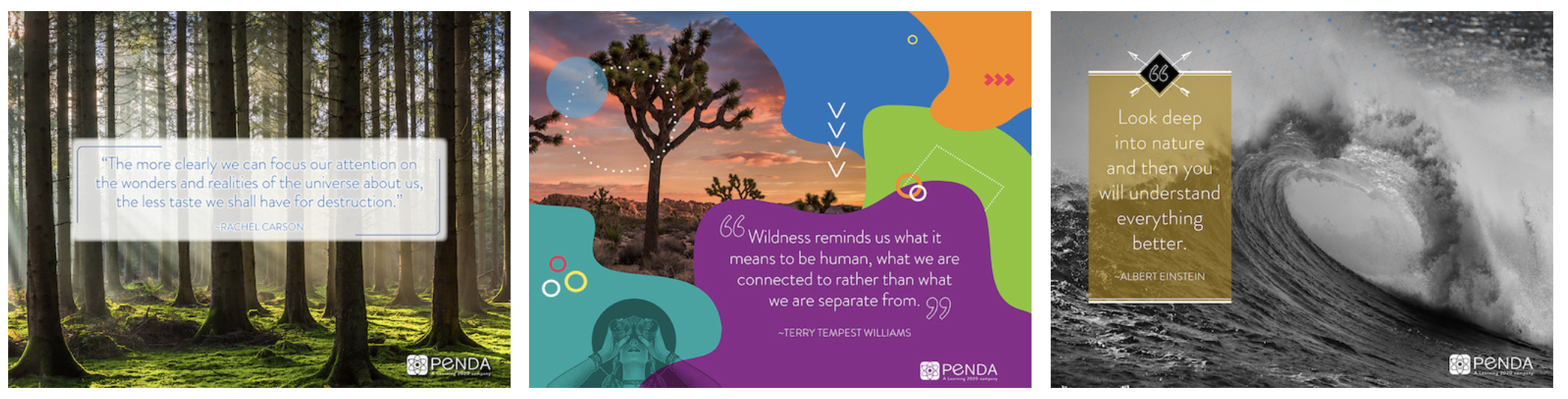 Penda Learning News Post Page